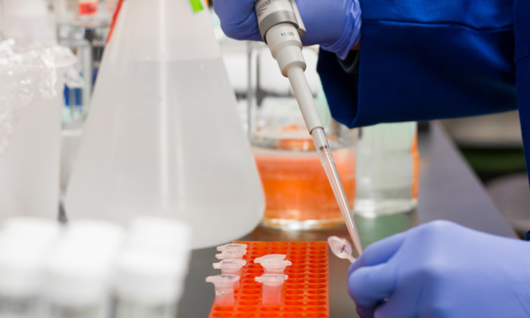 Natječaj za upis na poslijediplomski doktorski studij Biologija novotvorina 2025./2026.